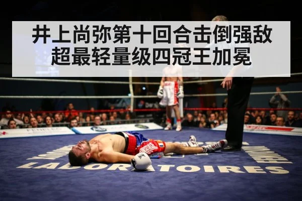 井上尚弥第十回合击倒强敌 超最轻量级四冠王加冕