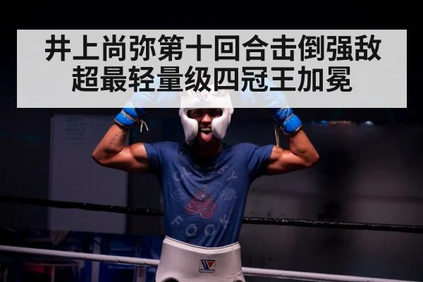boxer celebrating victory